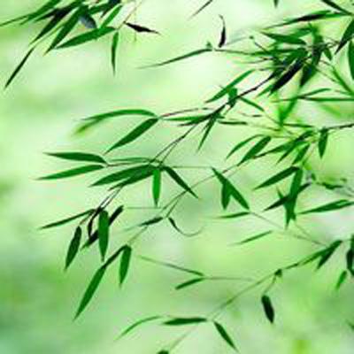 斗神无双西游九游版下载